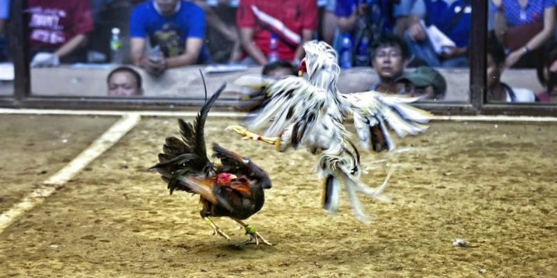 kuwin24 ﻿đăng nhập lô đề uy tín