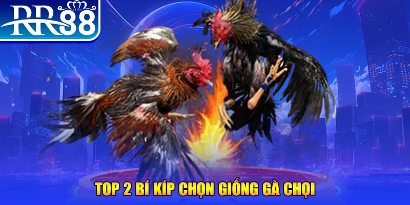 kuwin24 bắn cá h5