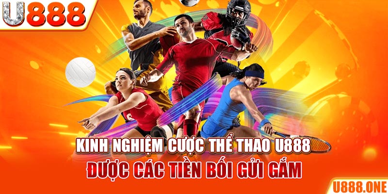 kuwin24 ÁT CHỦ BÀI GIÀNH LẤY ZHUANG NIUNIU ( XEM 3 LÁ )