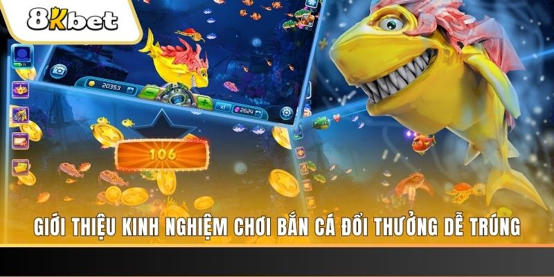 kuwin24 xổ số miền bắc hôm