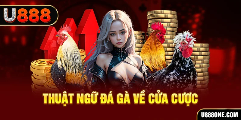 kuwin24 da ga 88
