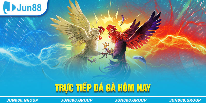 kuwin24 trực tiếp đá gà thomo