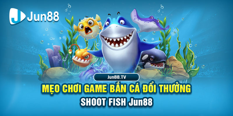 kuwin24 tải game đánh bài online về máy tính