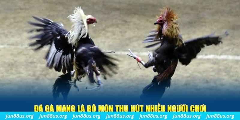 kuwin24 xổ số long an
