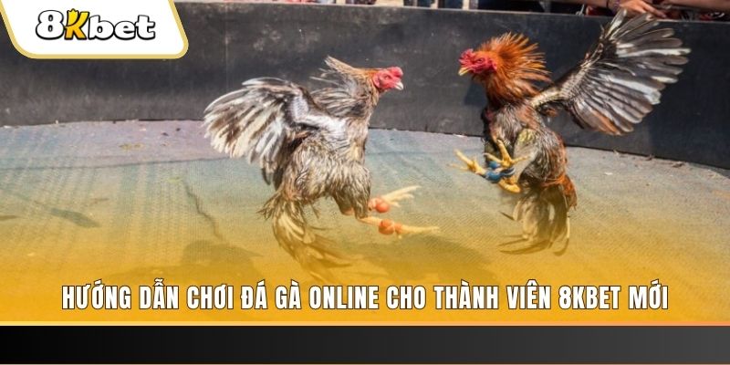 kuwin24 nổ hũ đổi thưởng . ai