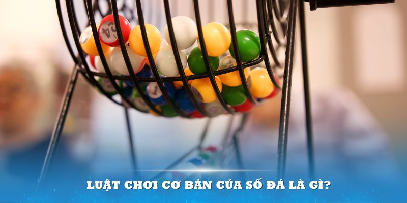 kuwin24 Đĩa màu ace