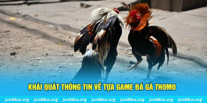 kuwin24 bản tình ca mùa đông