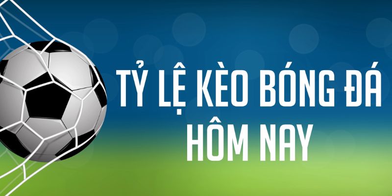 kuwin24 ÁT CHỦ MÁY HOA QUẢ THẦN TÀI