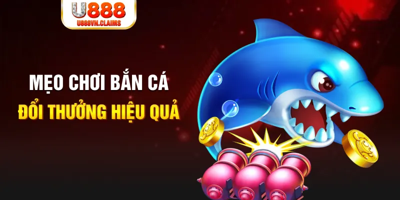 kuwin24 xổ số thứ năm hàng tuần