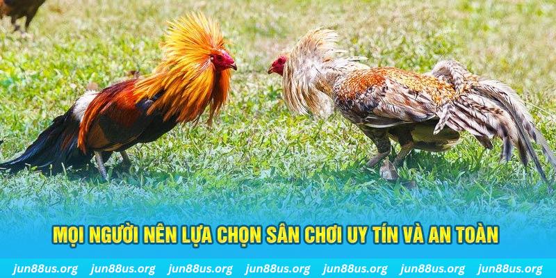 kuwin24 Tài Xỉu