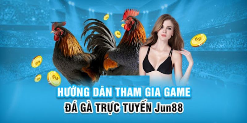 kuwin24 slot có nghĩa là gì