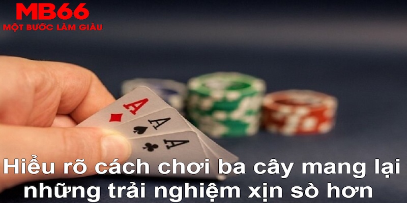 kuwin24 DB Trực Tuyến
