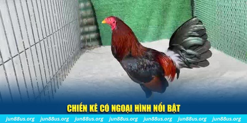 kuwin24 nhạc slot là gì